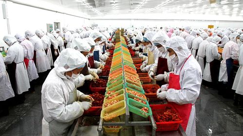 京东生鲜联手德炎水产,打开小龙虾产业新格局
