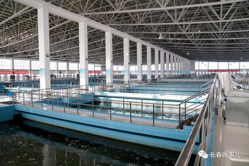 王凯在第一净水厂检查指导全市供水工作时要求 强化极限思维,提升能力建设,切实保障群众用水和都市圈发
