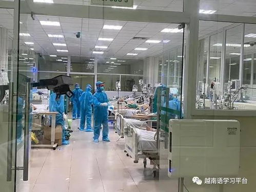 越南新增276例累计确诊4112例,北宁省出现1例死亡病例