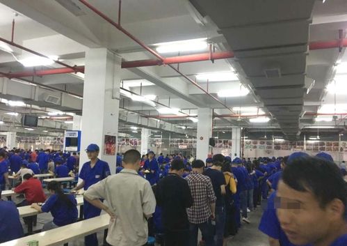 深圳工厂男子工资发了8000多,不怕没老婆,就怕没钱没事业