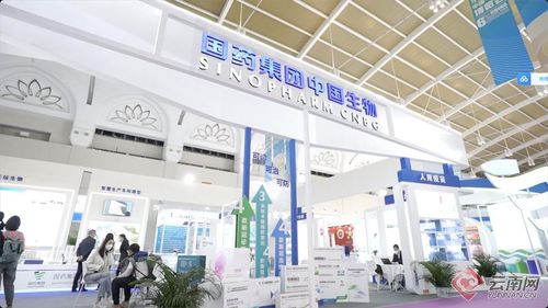 赵立坚发博,点赞南博会