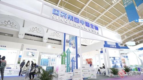 智慧引领，科技赋能 记者带你解锁南博会新体验——恒特发展焦点